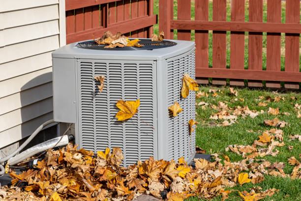 Best HVAC air duct cleaning  in Winter Park, FL
